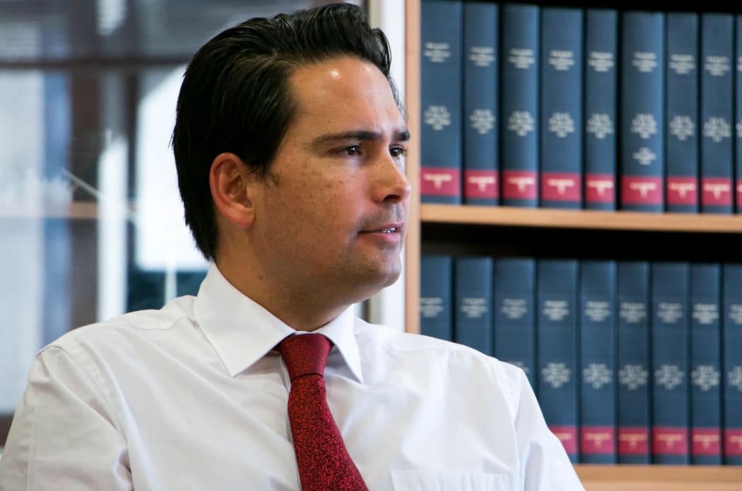 National MP and leader of the House Simon Bridges.