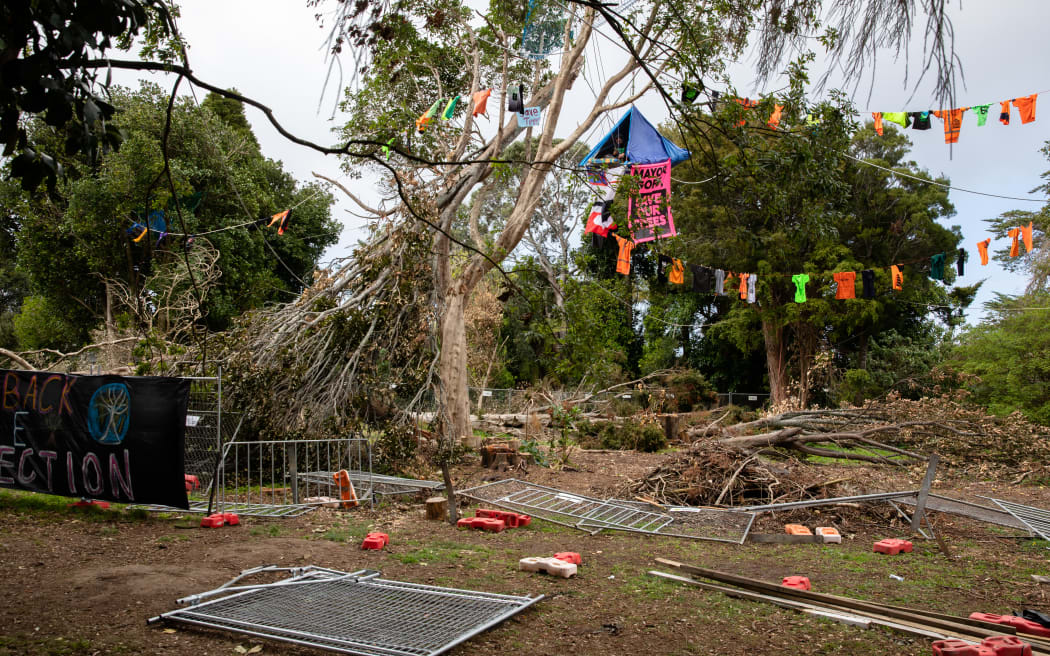The fate of 100-year-old native trees in the Auckland suburb of Avondale has prompted an early morning protest.