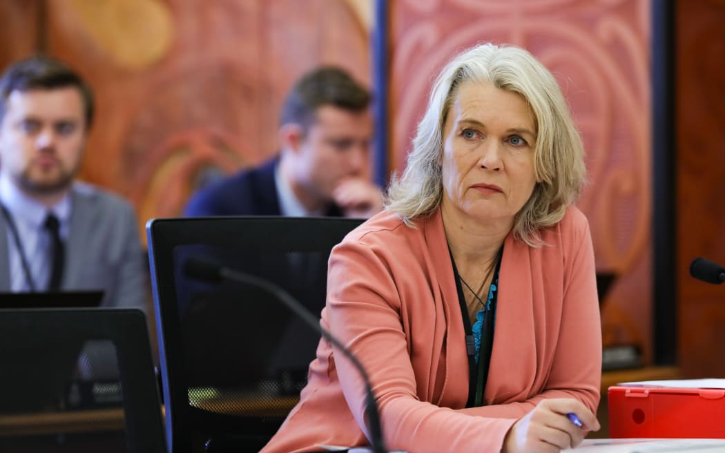 Labour MP Ingrid Leary in select committee