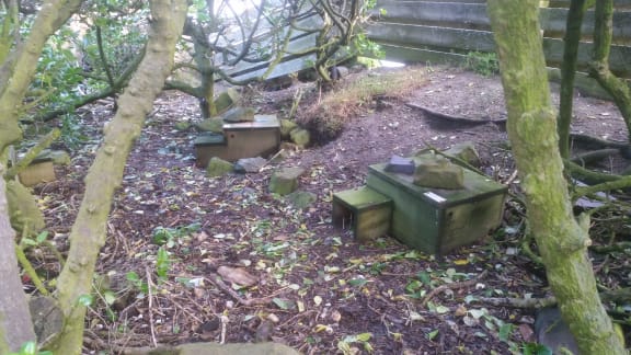 Some of the 20 nest boxes for little blue penguins at the Days Bay Penguin Haven.