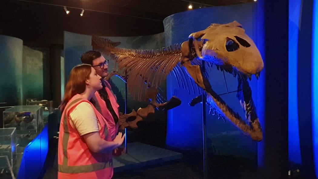 Some of the creatures on display at Otago Museum's Sea Monster exhibition would have once been spotted in the waters off the coast of New Zealand.