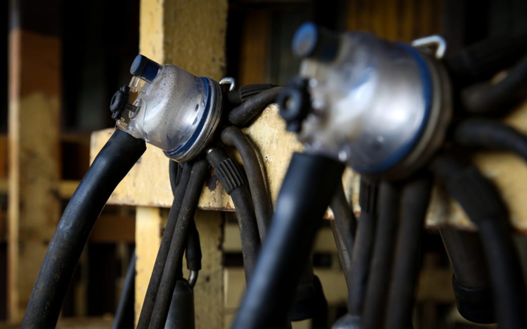 Organic milking teat cups.