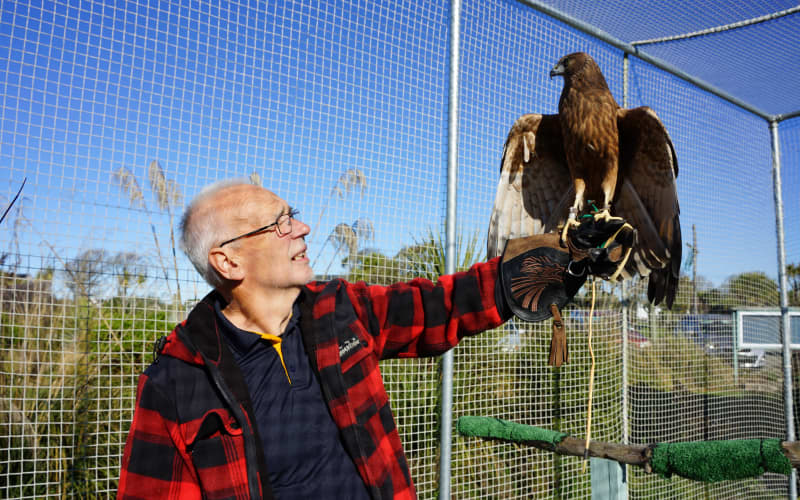 New Zealand Trust Works to Save Native Birds of Prey