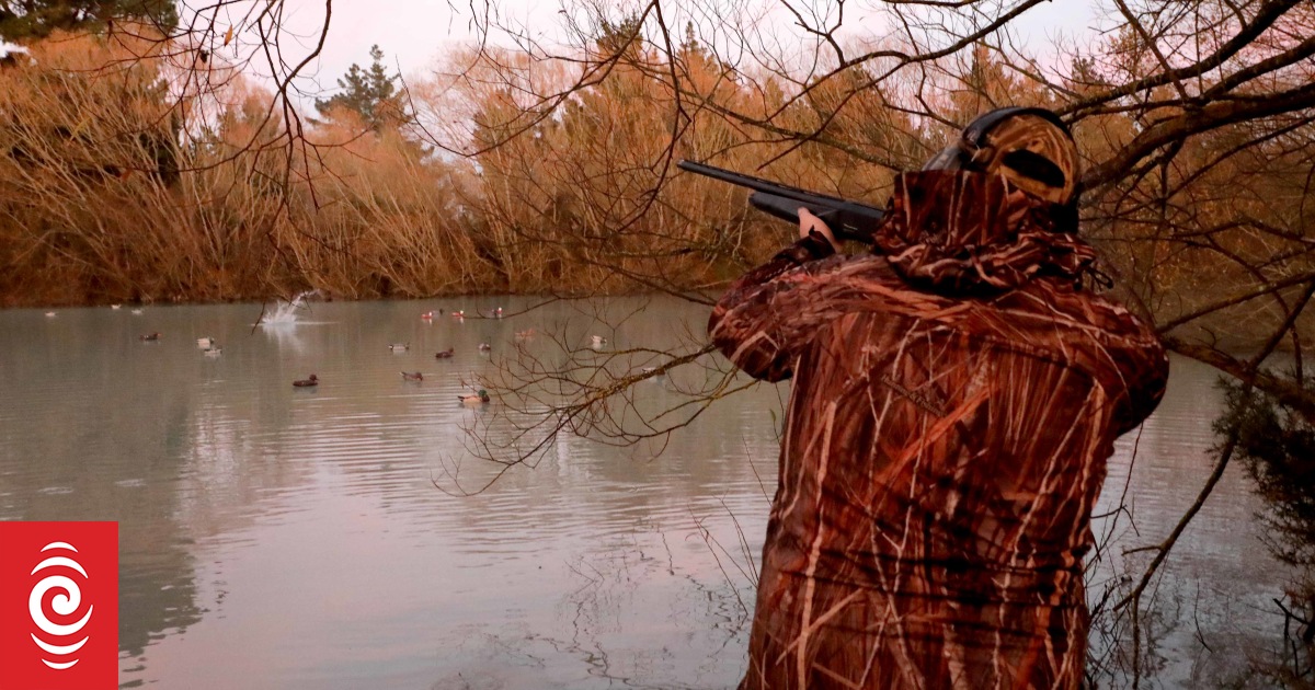 More exciting than Christmas Regional NZ gears up for duck shooting