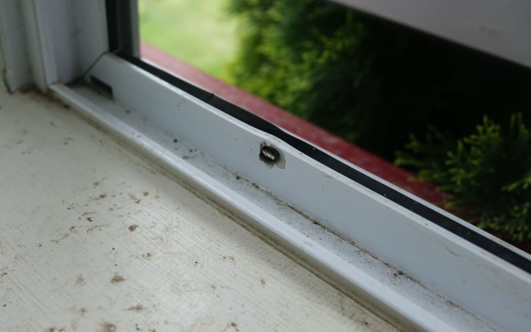 A bullet hole in Kevin Topp's window