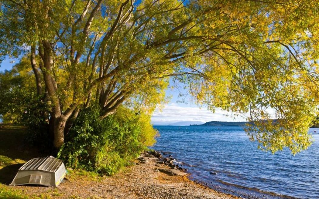 Lake Taupo
