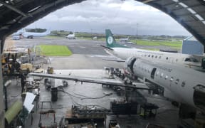 The view from the hanger of Air Chathams spot at Auckland Airport