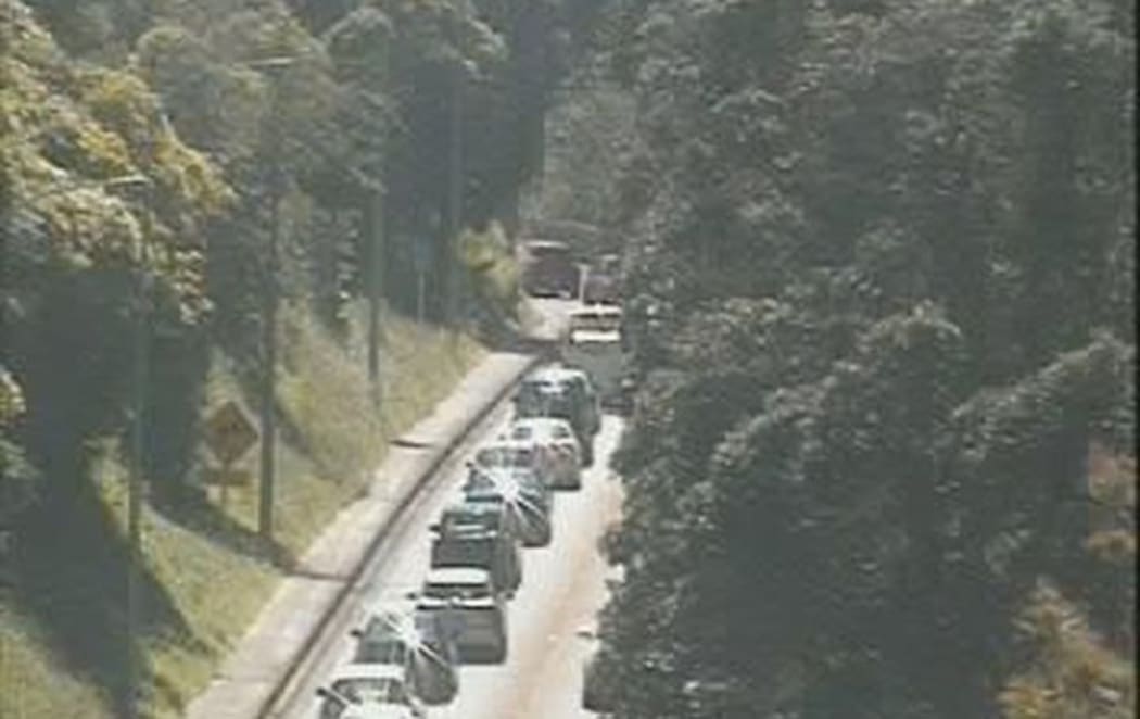 Traffic banking up near Paekakariki.