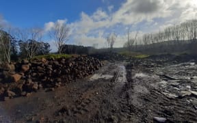 Prameet Sharma was convicted for illegal earthworks and depositing contaminated fill at his Drury property.