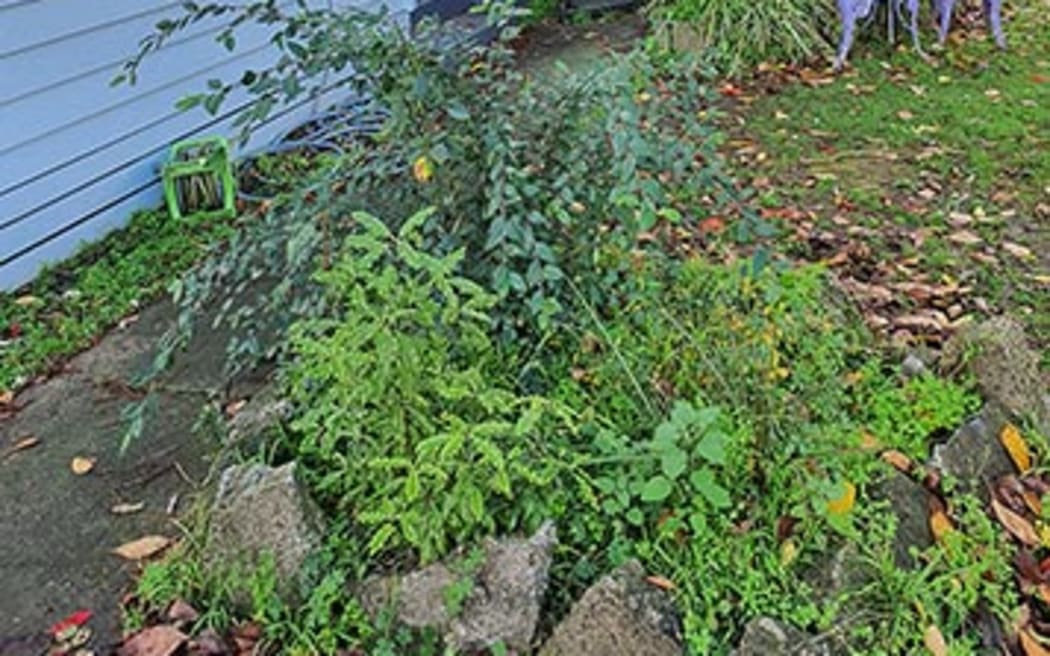 The property Kevin Cooper rents from Kāinga Ora