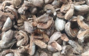 Coconut peat is also known as coir.