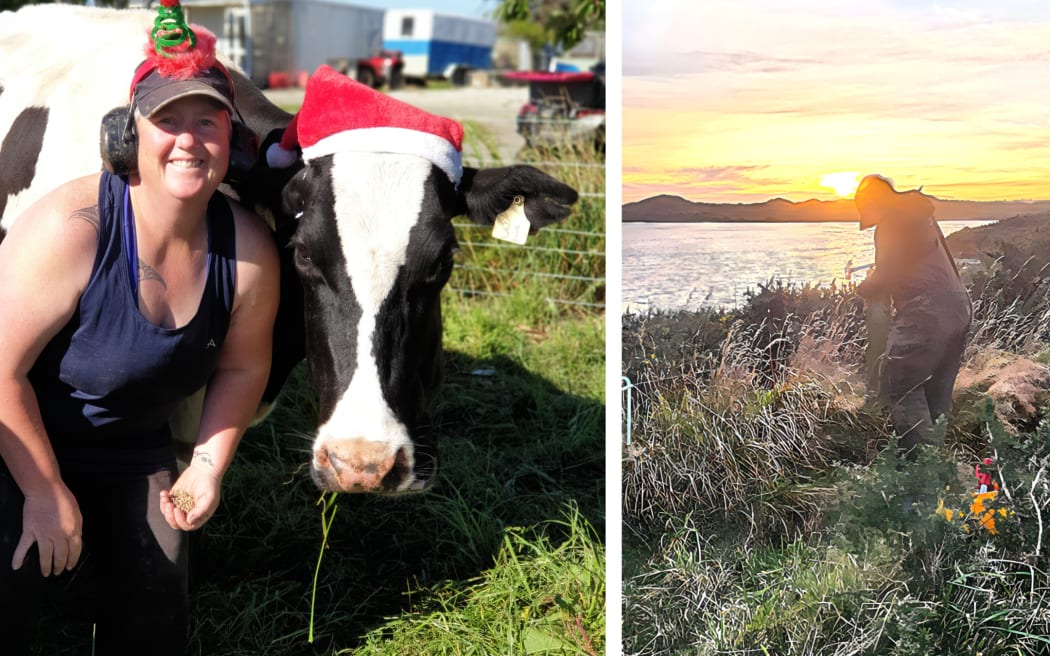 Dairy farm training programme