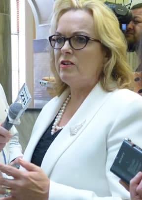 Judith Collins speaking to reporters on Wednesday.