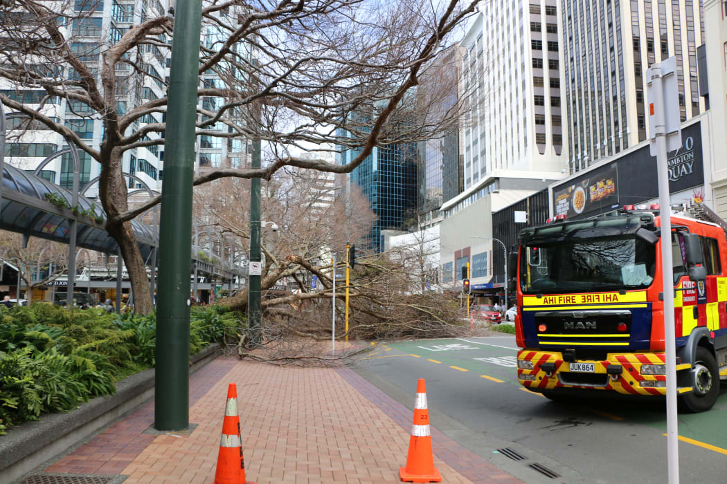 A large tree has fallen across the footpath and one lane of Lambton Quay in Wellington.