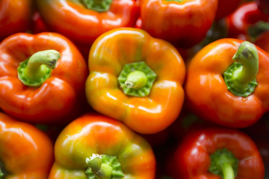 Alison Ballance and Simon Morton discover which fruits and vegetable have the most vitamin c. Science of vitamin c
