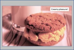 Gavin Northey study - creamy food