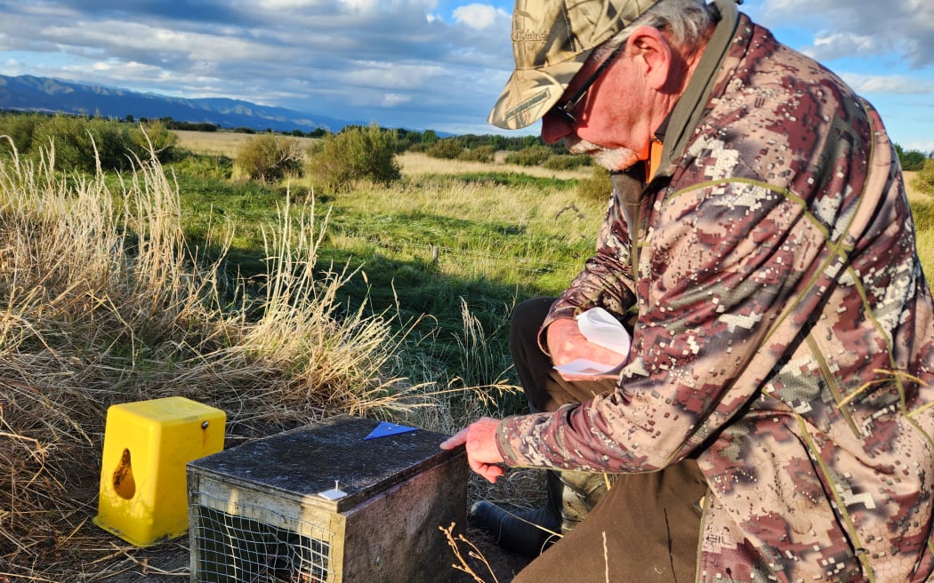 Steve Playle has been trapping pests and predators at the Wairarapa Moana Wetlands for more than a decade