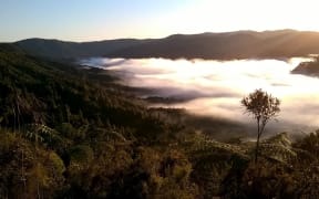 The Hunua Ranges