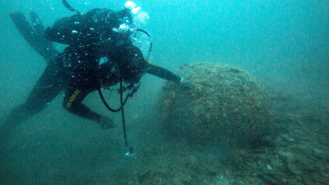A New Zealand navy diver examining one of the mines.