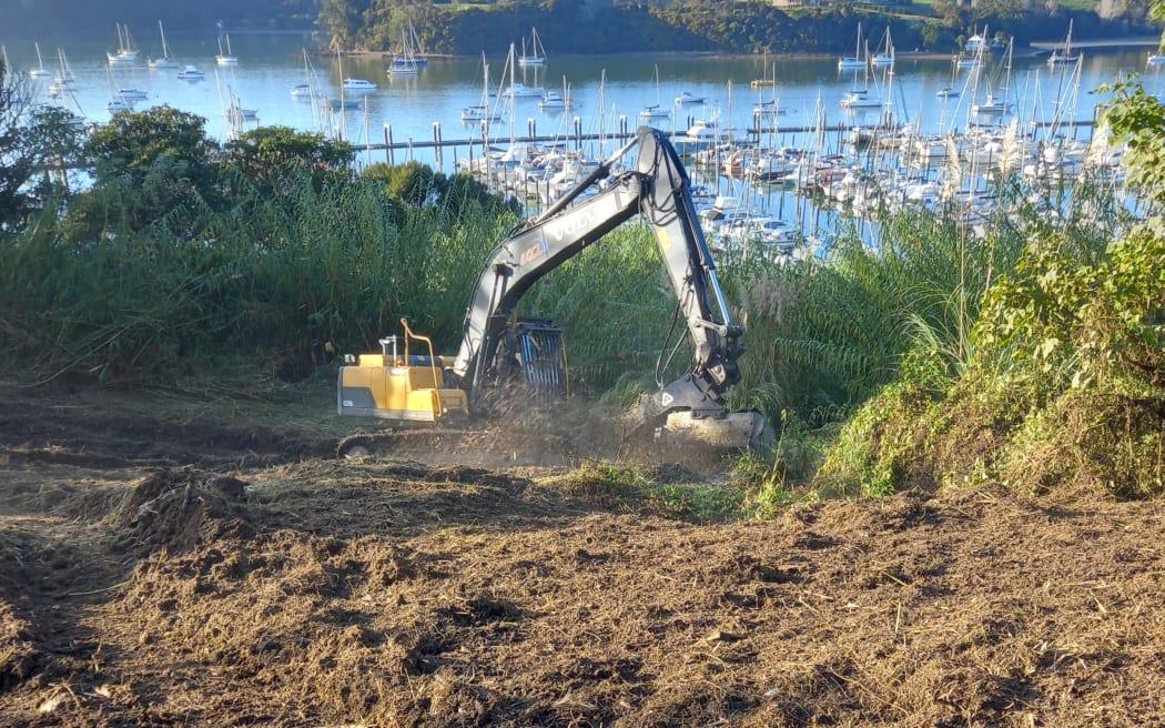A digger clears vegetation at Puketītī, in Ōpua, earlier this week. Photo / Paula Becks