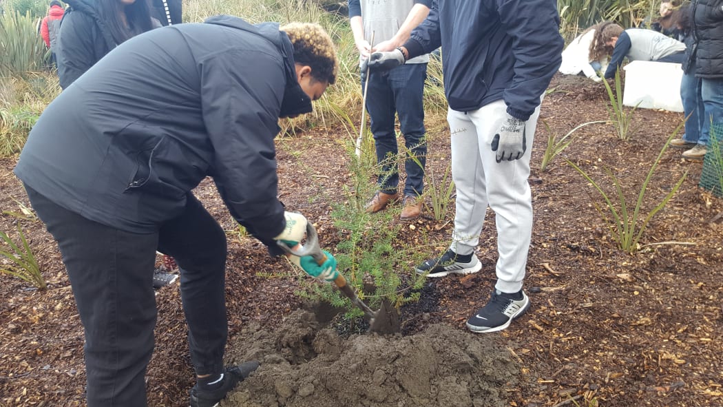 Christchurch's Student Volunteer Army and students from the Marjory Stoneman Douglas High School planting trees.