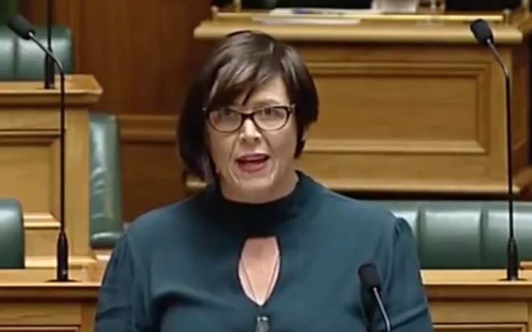 Green MP Jan Logie speaks to Parliament at the bill's first reading.