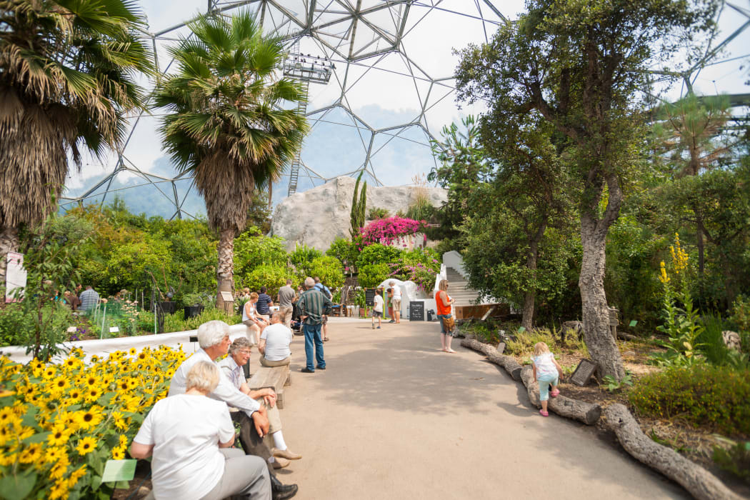 Eden Project visitors inside one of gaint domes Mediterranean Biome featuring plants from that region