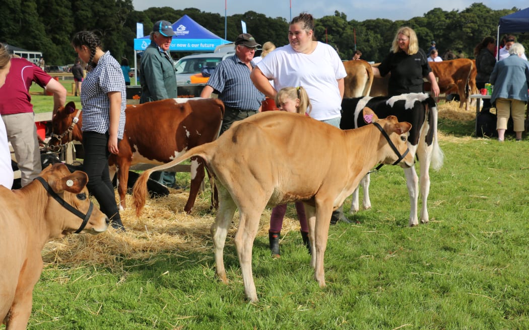Waiau A&P Show in Tuatapere, Southland