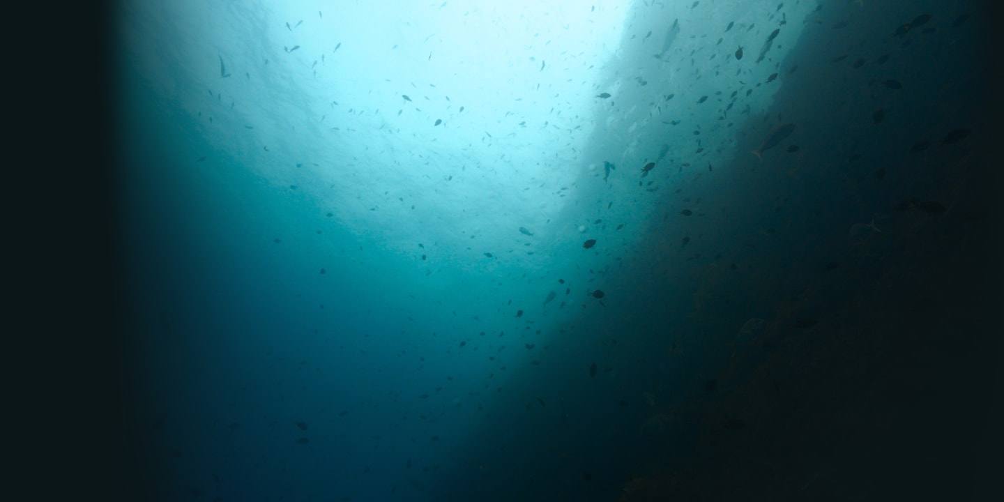 Turning the Tide