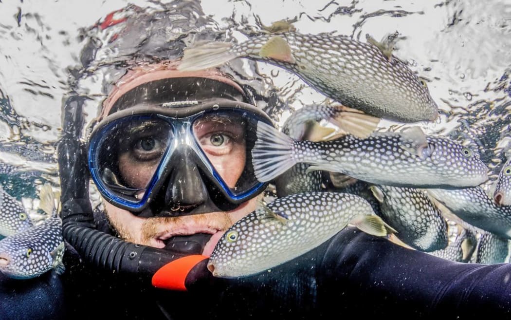 Crispin Middleton, a marine ecologist and national dive manager for Niwa.