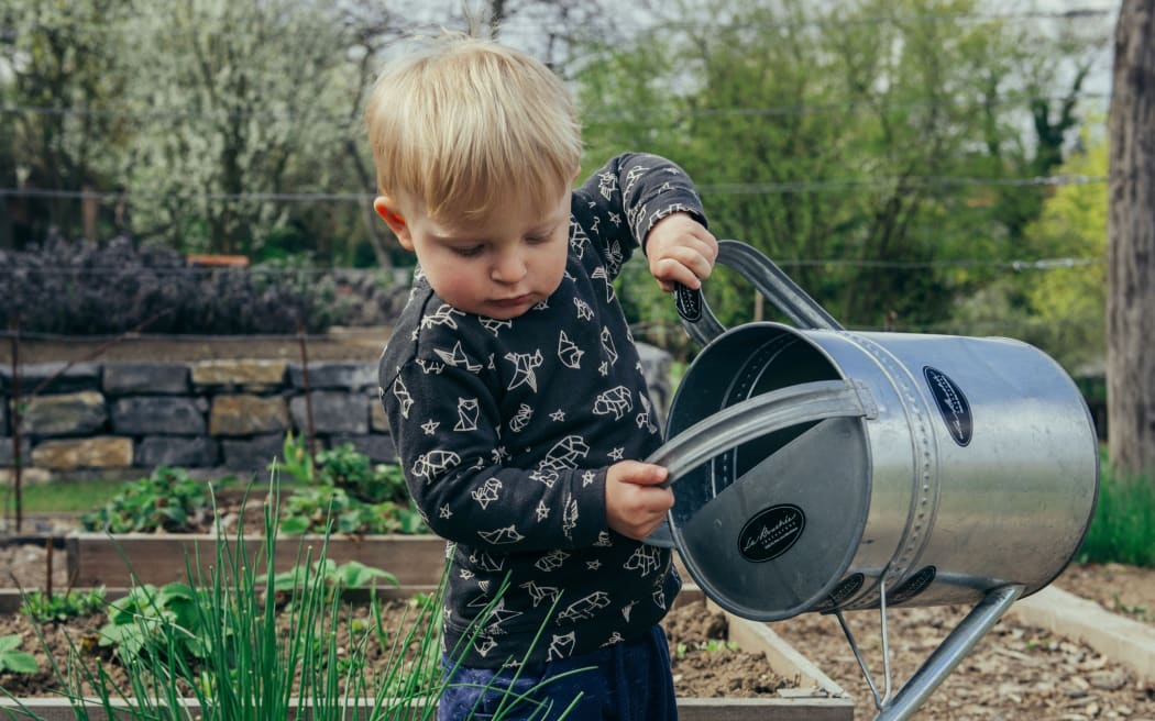 A blonde child tips a watering can over some plants