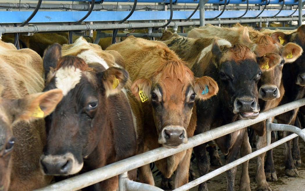 There has been a reduction of more than $4 billion in dairy export revenue.