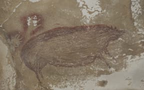 The pig painting believed to have been drawn 45,000 years ago at Leang Tedongnge in Sulawesi, Indonesia.
