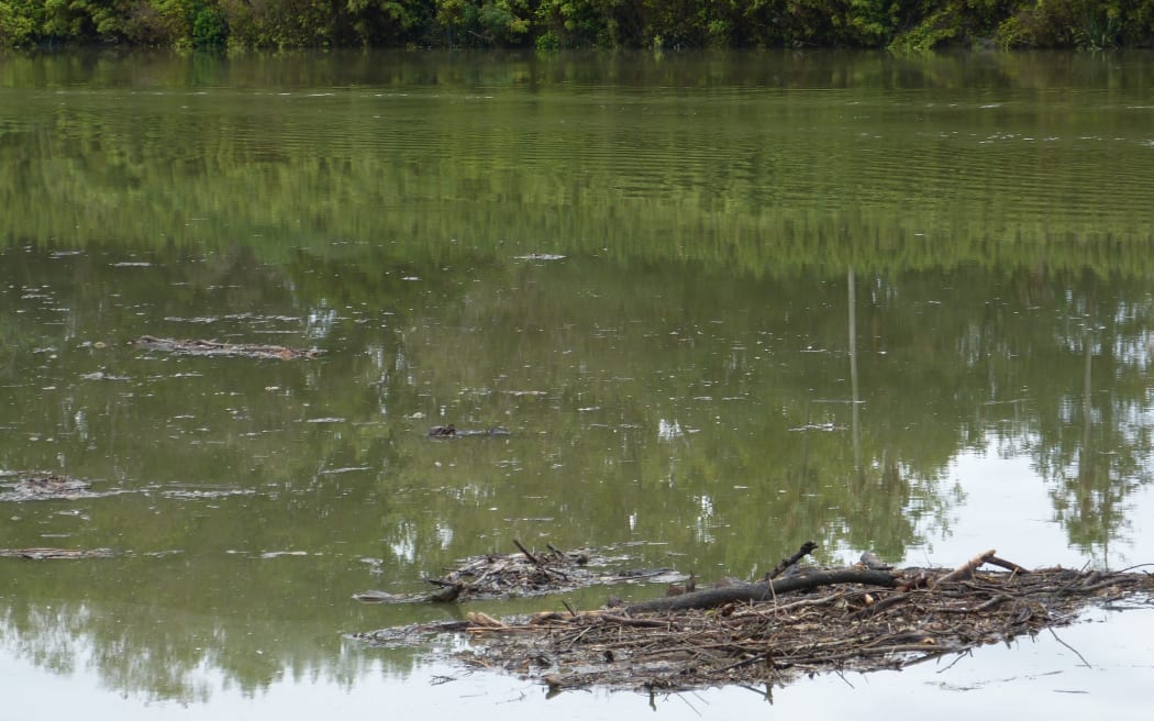 The Whanganui River