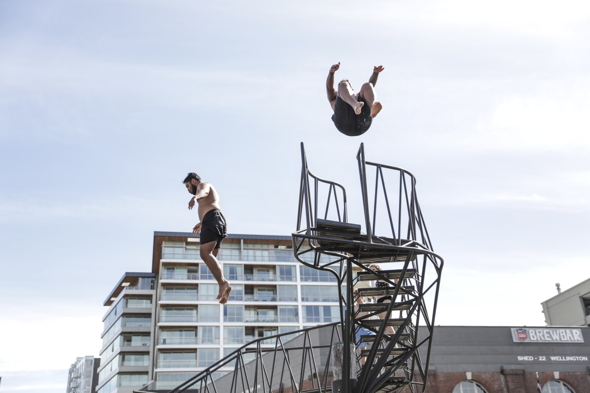 Summer in Wellington, people jump into the harbour.