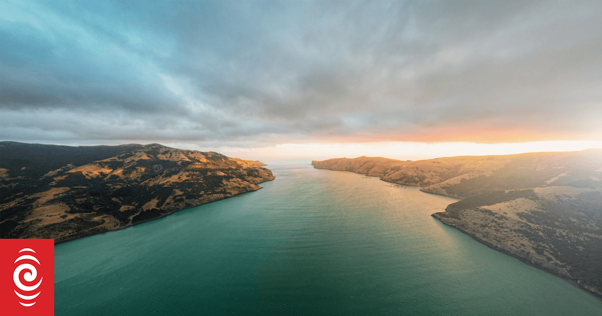 Appeal for witnesses as recovery of tourist boat grounded in Akaroa begins