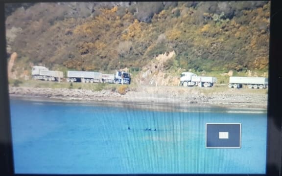 An observer at home in the hills beside Porirua Harbour monitors a pod of orca hunting sting rays.