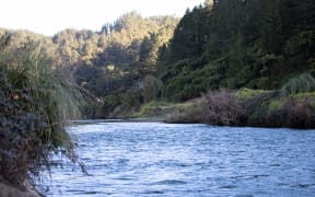 Rangitaiki River.