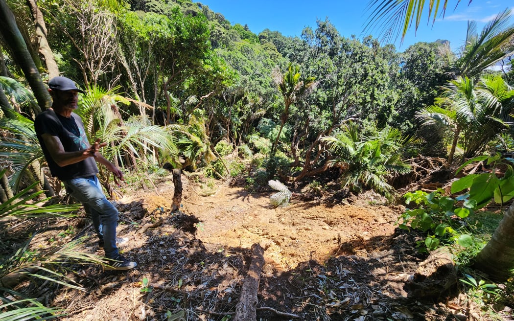 Steven Morrison's property on Rayner Road, Piha.