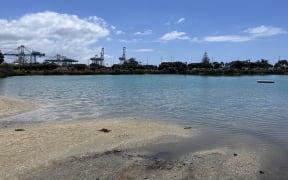 Judges Bay, in Parnell, is a popular summer swimming spot.