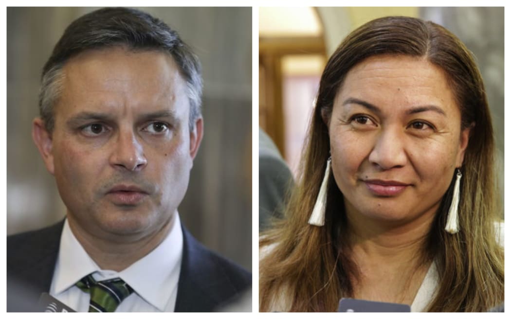 Green Party co-leaders
