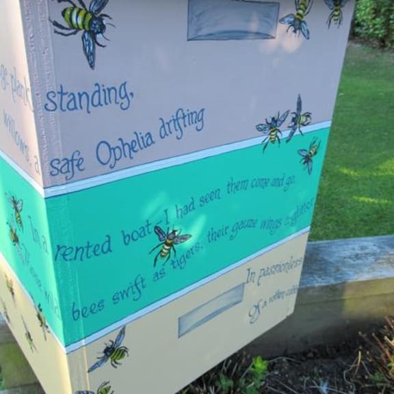 Lilliput Libraries have spread throughout the country thanks to Ruth Arnison.