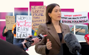 Composite of Brooke van Velden and protest signs