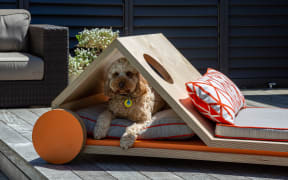 "chien-lounge" dog house design