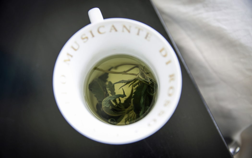 A cup of former Council of Trade Unions president Helen Kelly's cannabis tea.