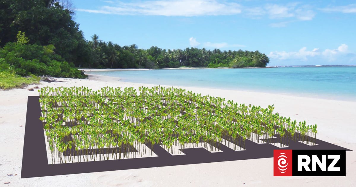Giant barcode on Tuvalu to raise awareness about climate | RNZ