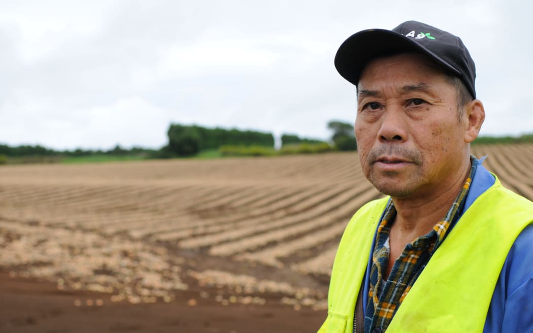 Pukekohe market gardener Shon Fong says he lost 20 to 30 percent of his onion harvest in Friday’s flooding.