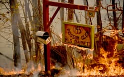 A bushfire burns outside a property near Taree, 350km north of Sydney on November 12, 2019.