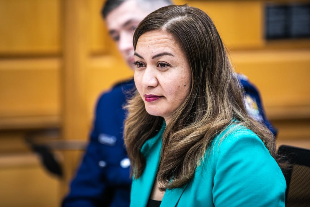 Green Party Co-Leader and Minister for the Prevention of Family and Sexual Violence Marama Davidson at the Justice Committee