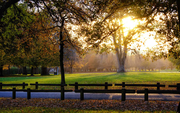 Hagley Park, Christchurch.